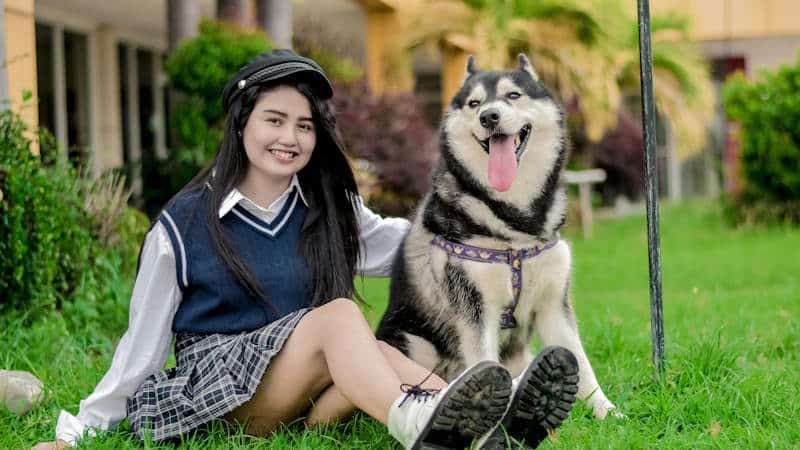 Malamute Εκπαίδευση