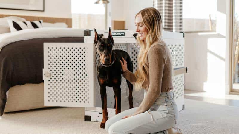 Doberman σε υπνοδωμάτιο